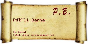 Páli Barna névjegykártya